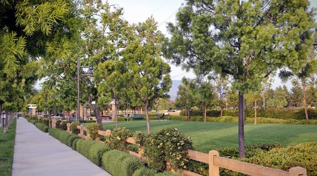 Alternate View of Park Walkway