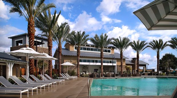 Legacy Club Pool and Palm Trees