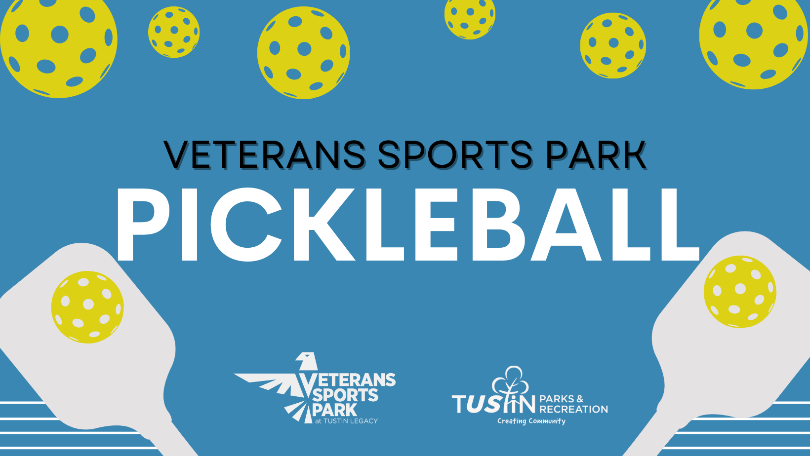Pickleball Web Banner 