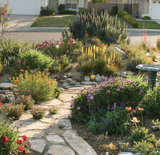 Drought Tolerant Landscaping