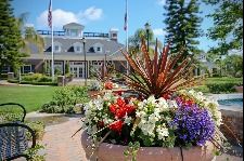 Columbus Square with Flowers