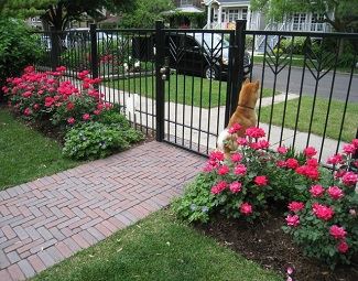 Fence and gate with flowers