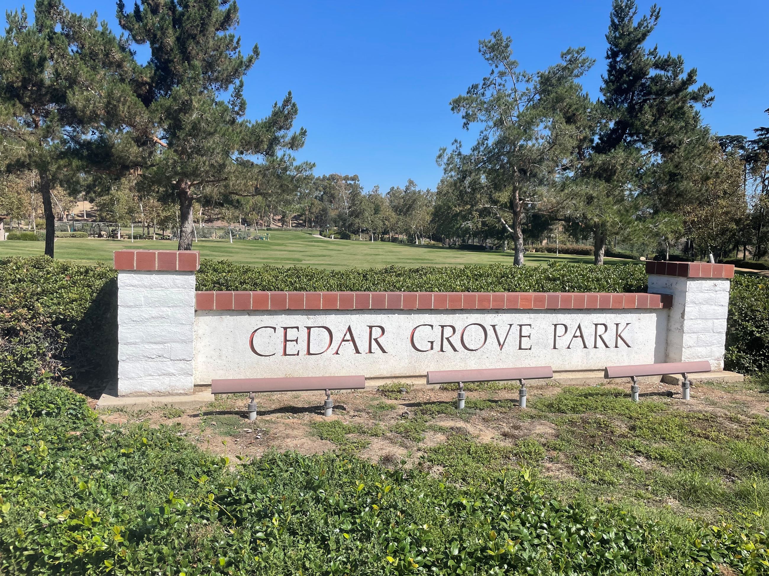 cedar sign