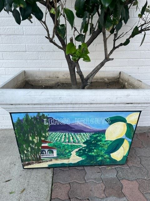 planter lemon heights